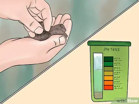 Image titled Create a Christmas Tree Forest Step 3