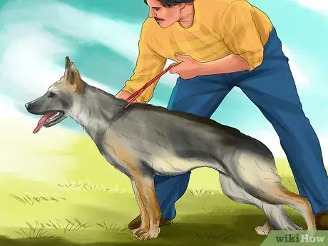 Image titled Decide Whether to Get a German Shepherd Step 9