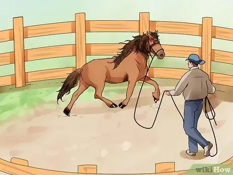 Image titled Be Comfortable Around a Bad‐Tempered Horse Step 15