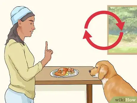 Image titled Handle Dog Begging for Food Step 10