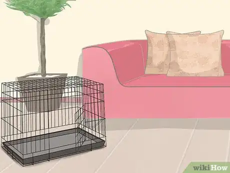 Image titled Crate Train Dachshunds Step 3