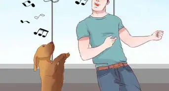 Exercise With Your Dog