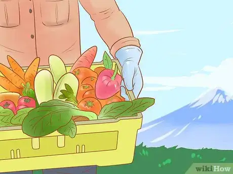 Image titled Keep a Guinea Pig on a Budget Step 12