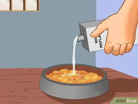 Image titled Earn the Trust of a Feral Kitten Step 12