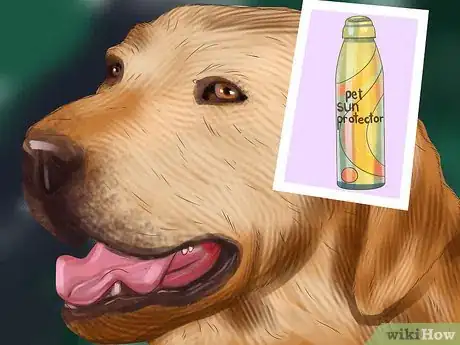 Image titled Diagnose the Cause of Dry Nose in Dogs Step 6