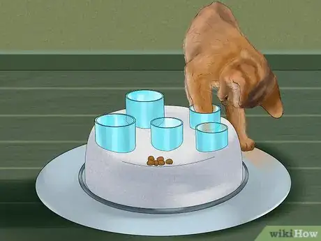 Image titled Identify and Treat Noise Phobias in Cats Step 3