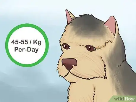 Image titled Feed a Yorkie Puppy Step 9