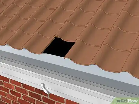 Image titled Get Rid of Raccoons in Your Attic Step 2