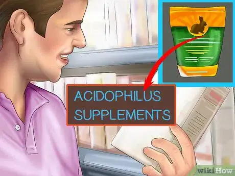 Image titled Get Rabbits Spayed or Neutered Step 3