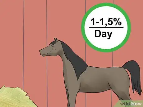 Image titled Care for an Arabian Horse Step 4