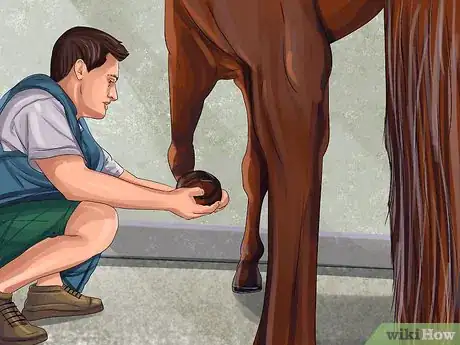 Image titled Clean a Horse's Hoof Step 11