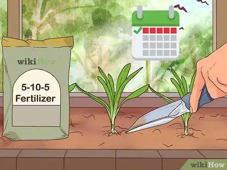 Image titled Grow Perennials From Seed Step 16