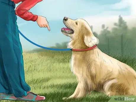 Image titled Stop Your Dog from Misbehaving Dangerously Step 3