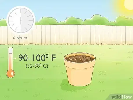 Image titled Grow a Noni Tree Step 6