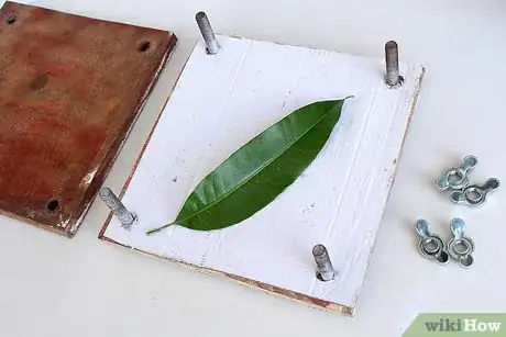 Image titled Press Leaves Step 5