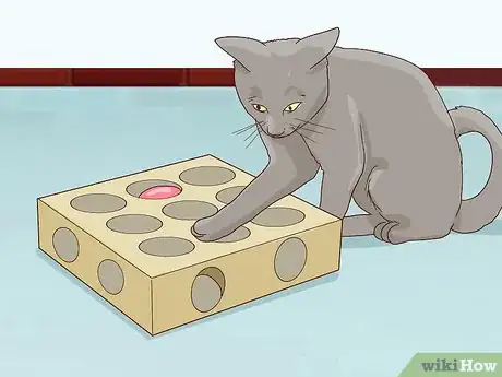 Image titled Handle Degenerative Joint Disease in Cats Step 7