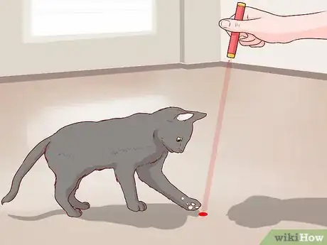 Image titled Take Care of a Chartreux Cat Step 10