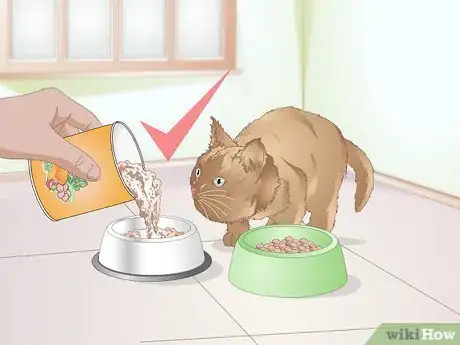 Image titled Choose Food for a Kitten Step 11
