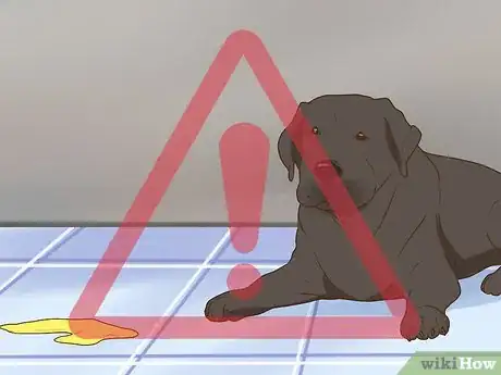 Image titled Get a Complete Geriatric Work Up for Your Dog Step 5