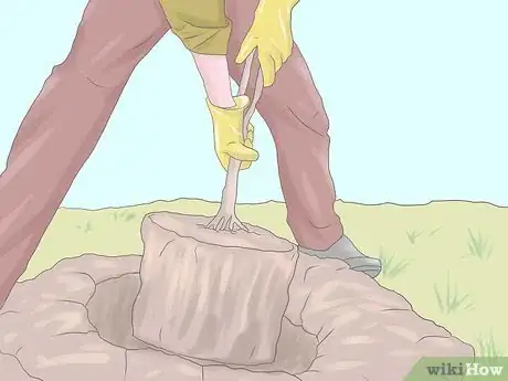 Image titled Grow Hydrangeas Step 6