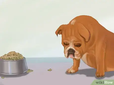 Image titled Make Sure That Your Dog Is Ok After Giving Birth Step 8