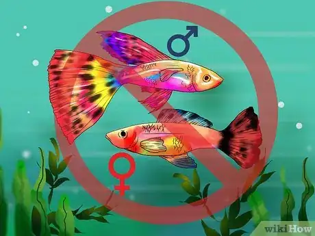 Image titled Choose Fish for a Freshwater Aquarium Step 8
