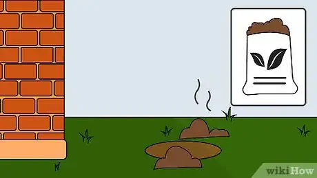 Image titled Grow Calla Lilies Step 12