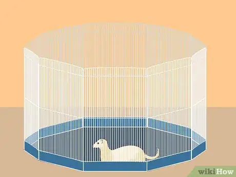 Image titled Exercise Your Ferret in a Playpen Step 7