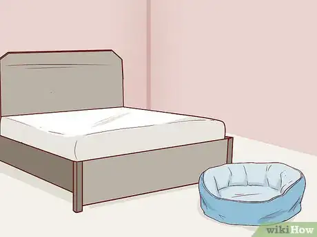 Image titled Make an Evacuation Kit for Your Cat Step 18