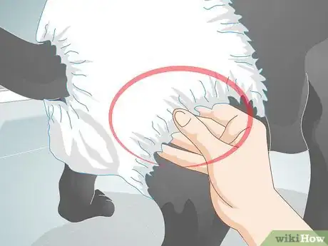 Image titled Buy Dog Diapers Step 11