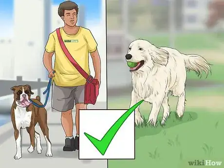 Image titled Adopt a Working Dog Step 1