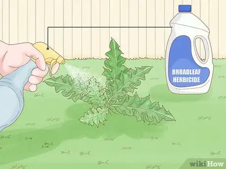 Image titled Get Rid of Canadian Thistles Step 1