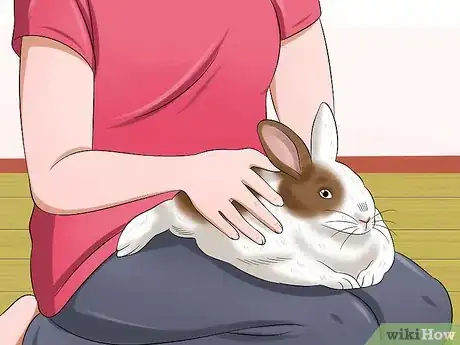 Image titled Deliver Eye Medication to Rabbits Step 5