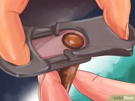 Image titled Rate a Cigar Step 2