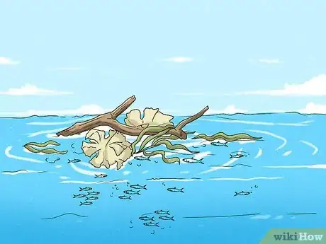 Image titled Catch Dorado Fish Step 2