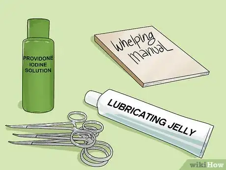 Image titled Whelp Large Breed Dogs Step 5