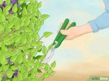 Image titled Control Ants Step 14