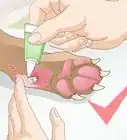 Care for a Dog's Dew Claw