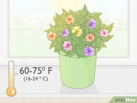 Image titled Grow New Guinea Impatiens Indoors Step 9