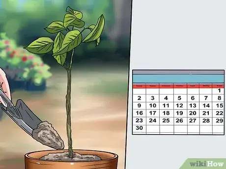 Image titled Plant Step 18