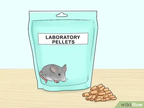 Image titled Keep a Pet Rat at a Healthy Weight Step 1