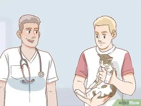 Image titled Get a Veterinary Second Opinion for Your Cat Step 12