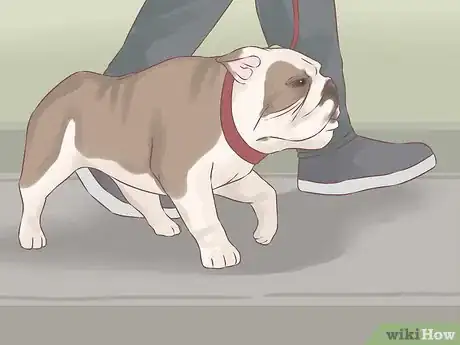 Image titled Become Friends with an Unfriendly Dog Step 15