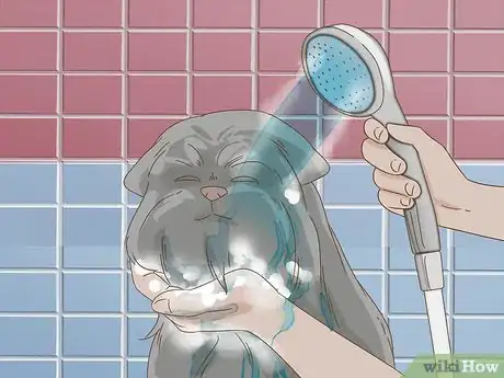 Image titled Groom an Affenpinscher Step 19