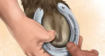 Maintain Good Hoof Care on Your Horse