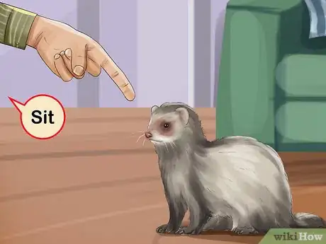 Image titled Train a Ferret Step 10