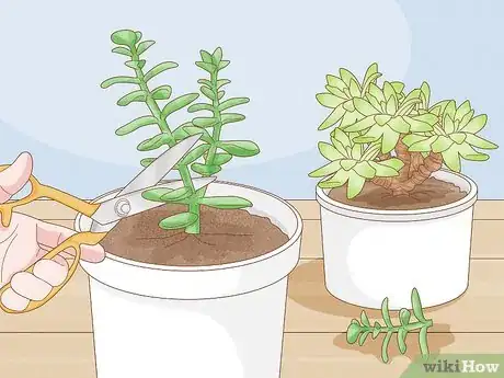 Image titled Make a Succulent Wreath Step 1
