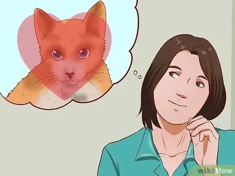 Image titled Get a Cat for a Pet Step 1