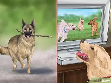 Image titled Make Your House a Better Place for Animals Step 13