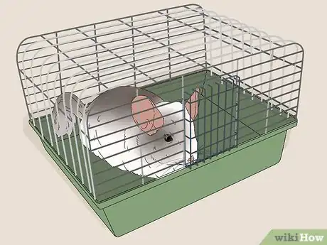 Image titled Manage Broken Bones in Chinchillas Step 4